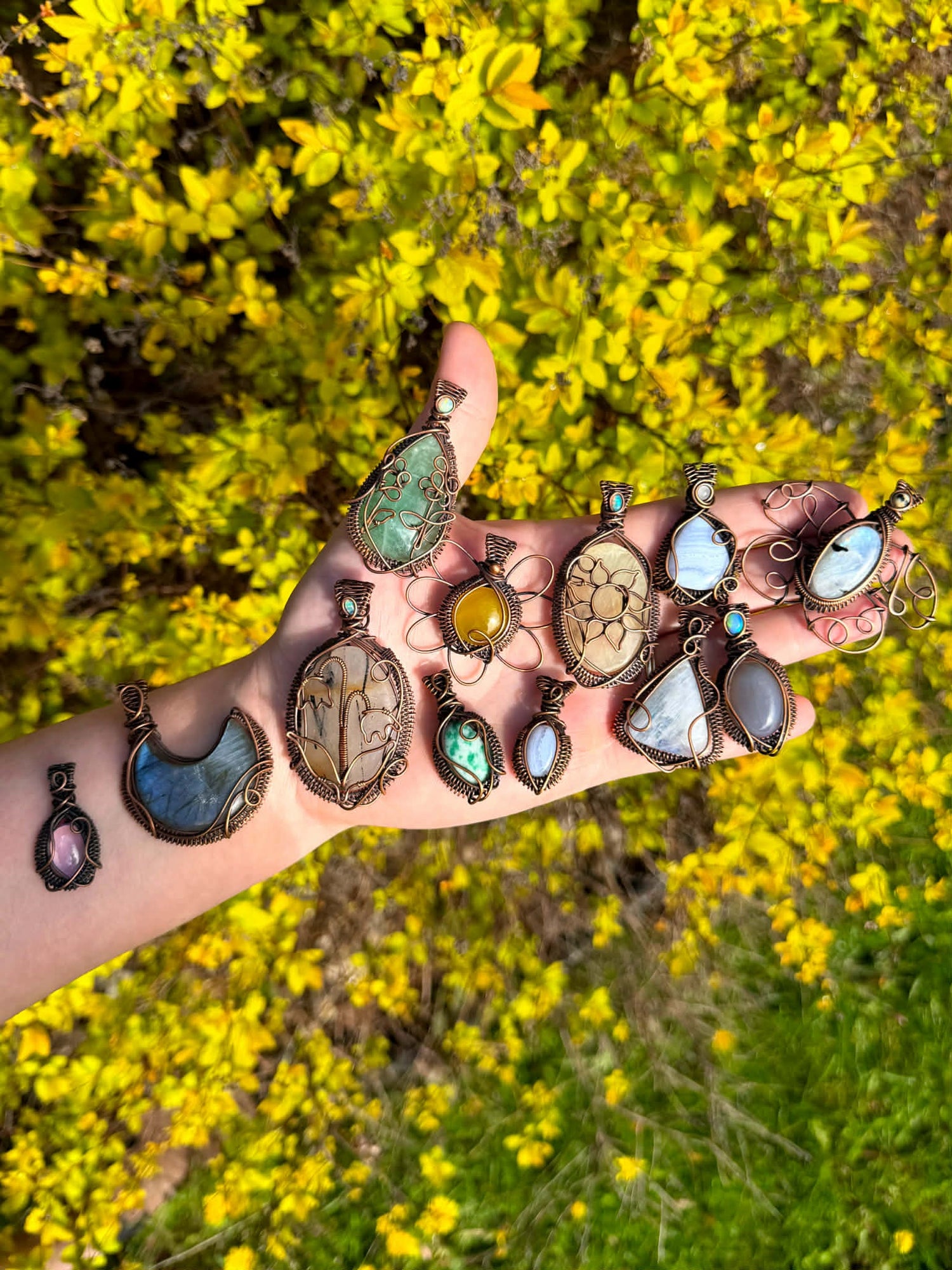 Petals In The Sun Spring Collection