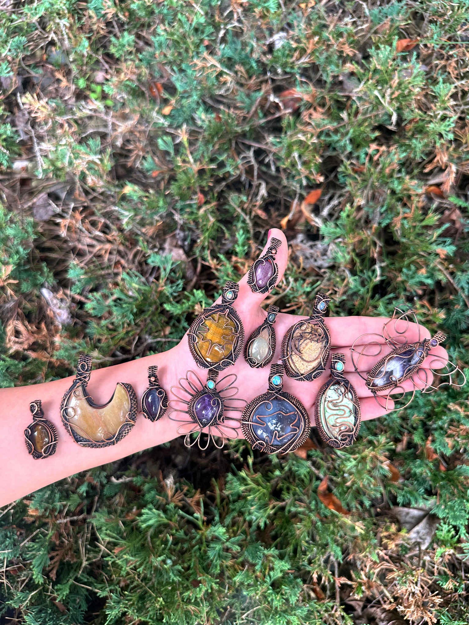 Woodland Brew Collection